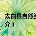 太白县自然资源局（关于太白县自然资源局简介）