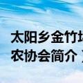 太阳乡金竹坪茶农协会（关于太阳乡金竹坪茶农协会简介）