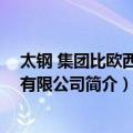 太钢 集团比欧西气体有限公司（关于太钢 集团比欧西气体有限公司简介）