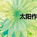 太阳作证（关于太阳作证简介）