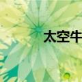 太空牛仔（关于太空牛仔简介）