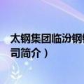 太钢集团临汾钢铁有限公司（关于太钢集团临汾钢铁有限公司简介）