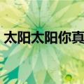 太阳太阳你真好（关于太阳太阳你真好简介）