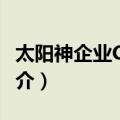 太阳神企业CI手册（关于太阳神企业CI手册简介）