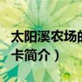 太阳溪农场的丽贝卡（关于太阳溪农场的丽贝卡简介）