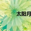 太阳月亮（关于太阳月亮简介）