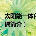 太阳能一体化热电偶（关于太阳能一体化热电偶简介）