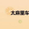 太麻里车站（关于太麻里车站简介）