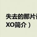 失去的那片记忆EXO（关于失去的那片记忆EXO简介）