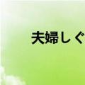 夫婦しぐれ（关于夫婦しぐれ简介）