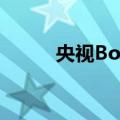 央视Boys（关于央视Boys简介）