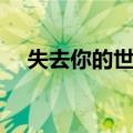 失去你的世界（关于失去你的世界简介）