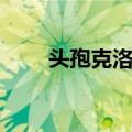 头孢克洛片（关于头孢克洛片简介）