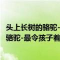 头上长树的骆驼-最令孩子着迷的名家寓言（关于头上长树的骆驼-最令孩子着迷的名家寓言简介）