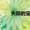 失踪的宝贝（关于失踪的宝贝简介）