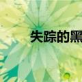 失踪的黑人（关于失踪的黑人简介）