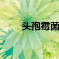 头孢霉菌素（关于头孢霉菌素简介）