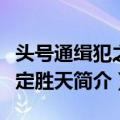 头号通缉犯之人定胜天（关于头号通缉犯之人定胜天简介）