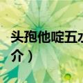 头孢他啶五水化物（关于头孢他啶五水化物简介）