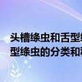 头槽绦虫和舌型绦虫的分类和种系发生（关于头槽绦虫和舌型绦虫的分类和种系发生简介）