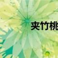 夹竹桃蚜（关于夹竹桃蚜简介）