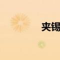 夹锡钱（关于夹锡钱简介）