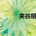 夹谷胡剌（关于夹谷胡剌简介）