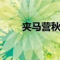 夹马营秋望（关于夹马营秋望简介）