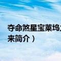 夺命煞星宝莱坞之国王归来（关于夺命煞星宝莱坞之国王归来简介）