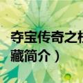 夺宝传奇之校园宝藏（关于夺宝传奇之校园宝藏简介）