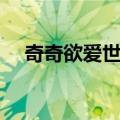 奇奇欲爱世界（关于奇奇欲爱世界简介）