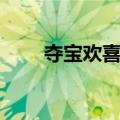 夺宝欢喜村（关于夺宝欢喜村简介）