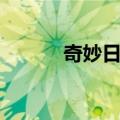 奇妙日程（关于奇妙日程简介）