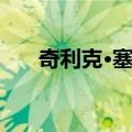 奇利克·塞隆（关于奇利克·塞隆简介）