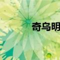 奇乌明托（关于奇乌明托简介）