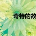 奇特的故事（关于奇特的故事简介）