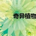 奇异植物岛（关于奇异植物岛简介）