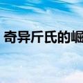 奇异斤氏的崛起（关于奇异斤氏的崛起简介）