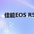  佳能EOS R5通过出色的8K新闻使细节翻倍