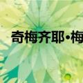 奇梅齐耶·梅图（关于奇梅齐耶·梅图简介）