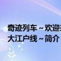 奇迹列车～欢迎来到大江户线～（关于奇迹列车～欢迎来到大江户线～简介）