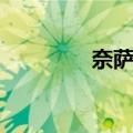 奈萨姆（关于奈萨姆简介）