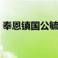 奉恩镇国公毓亨（关于奉恩镇国公毓亨简介）