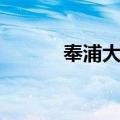 奉浦大桥（关于奉浦大桥简介）