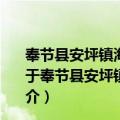 奉节县安坪镇海角社区新时代文明实践站志愿服务小队（关于奉节县安坪镇海角社区新时代文明实践站志愿服务小队简介）