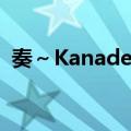 奏～Kanade～（关于奏～Kanade～简介）