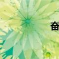 奋荣（关于奋荣简介）