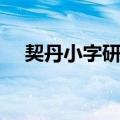 契丹小字研究（关于契丹小字研究简介）