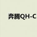 奔腾QH-C57（关于奔腾QH-C57简介）