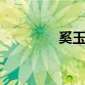 奚玉瑾（关于奚玉瑾简介）